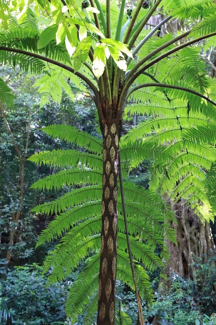 Costa Rica