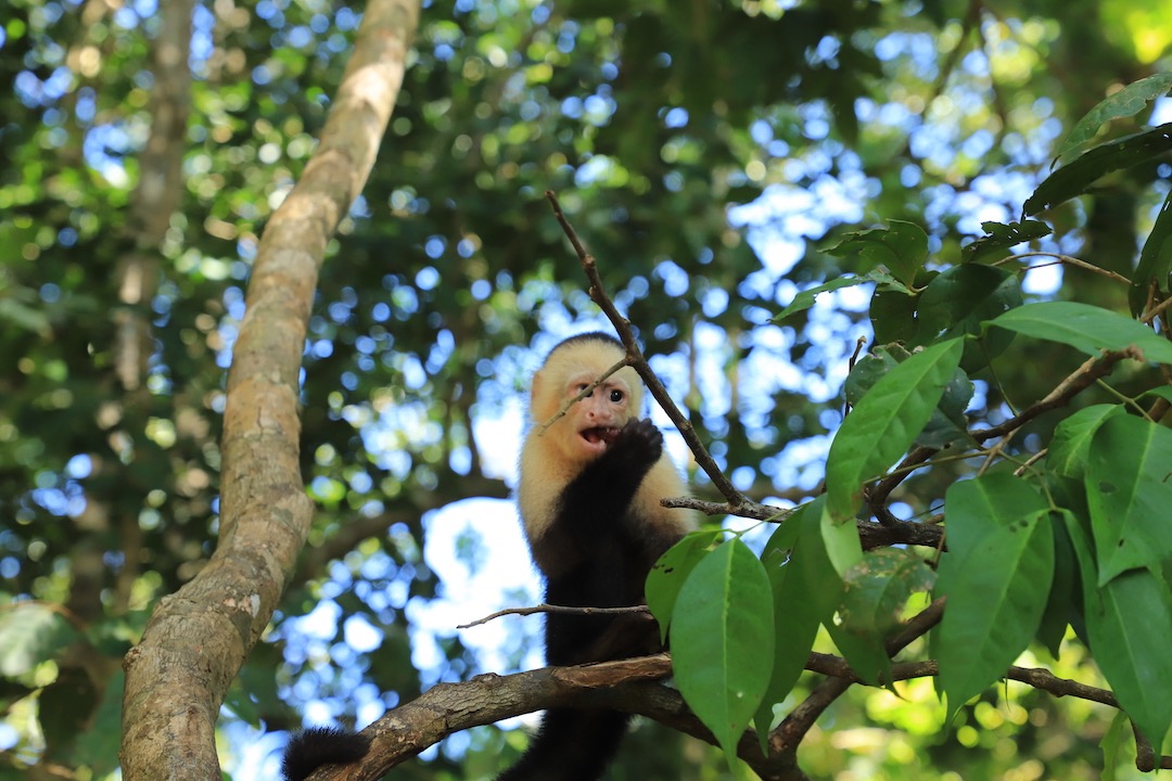 Costa Rica