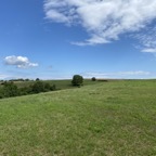 IMG_0721.jpeg