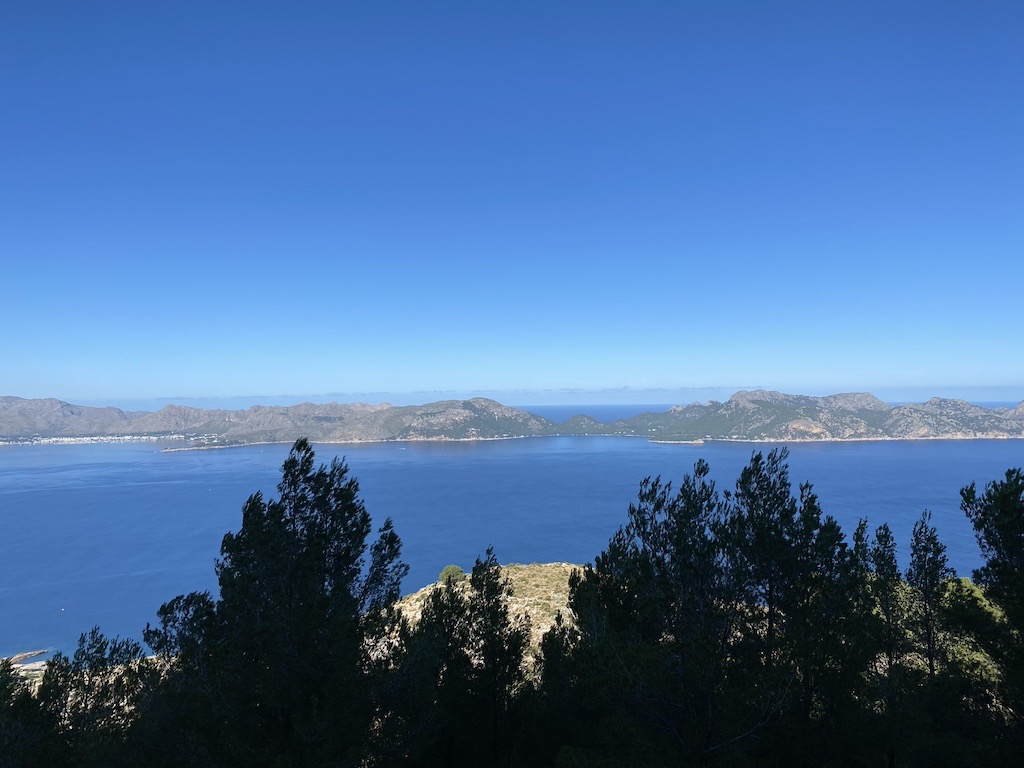 Alc&uacute;dia