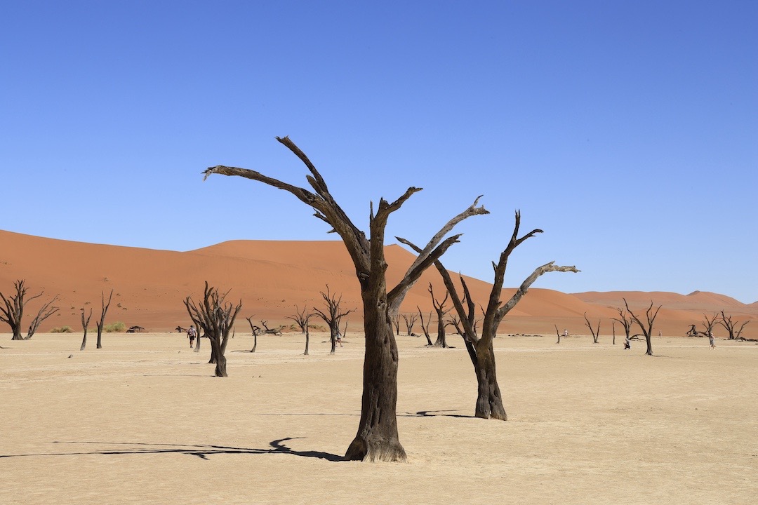 Deadvlei