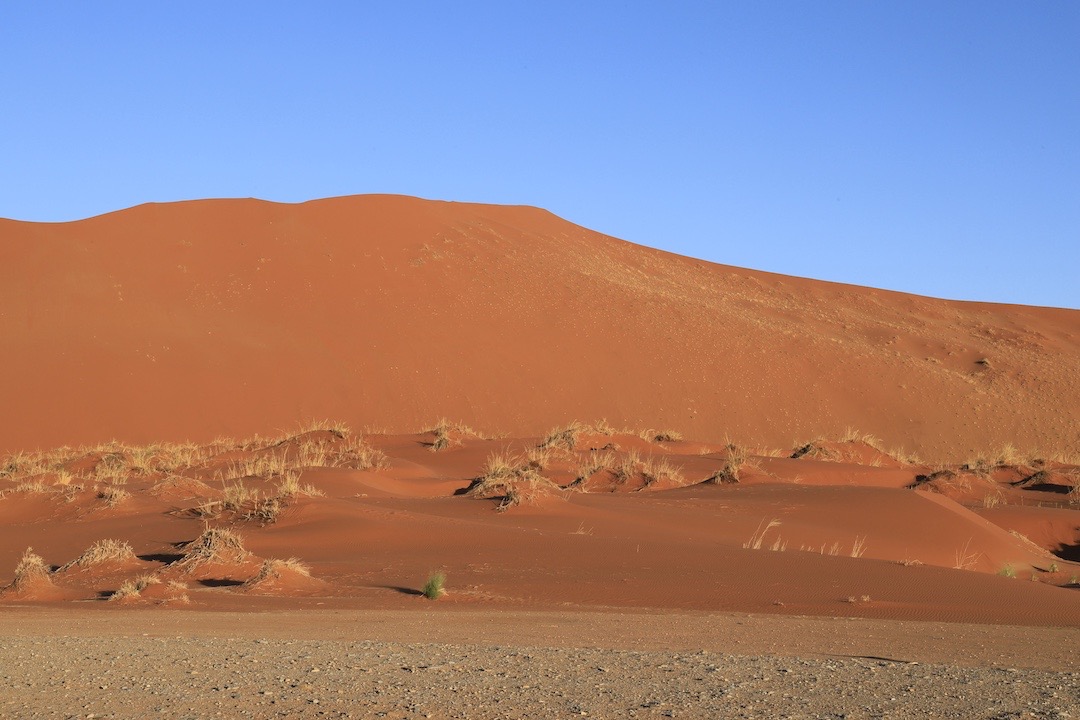 Namib