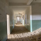 IMG_0131.jpeg