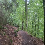 IMG_0784.jpeg