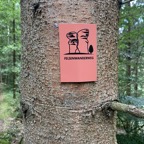 IMG_0761.jpeg