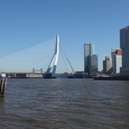 IMG_4631.jpg